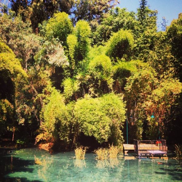 InstagramTroian-001035.jpg