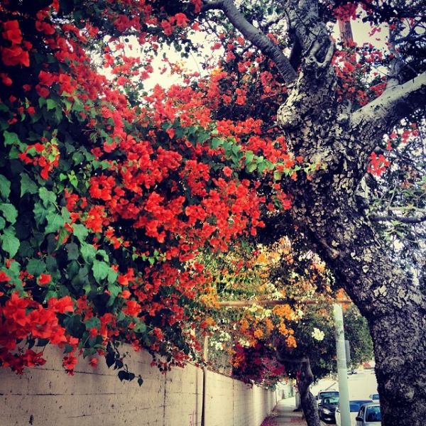 InstagramTroian-001112.jpg
