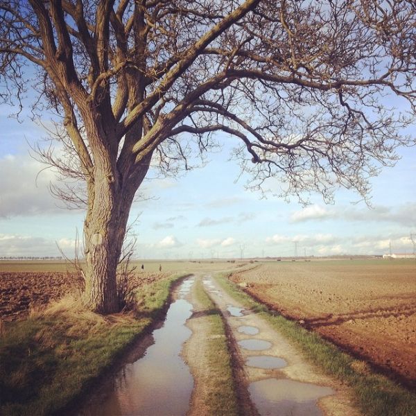 InstagramTroian-001282.jpg
