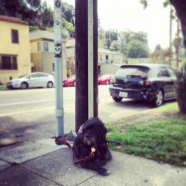 InstagramTroian-001392.jpg