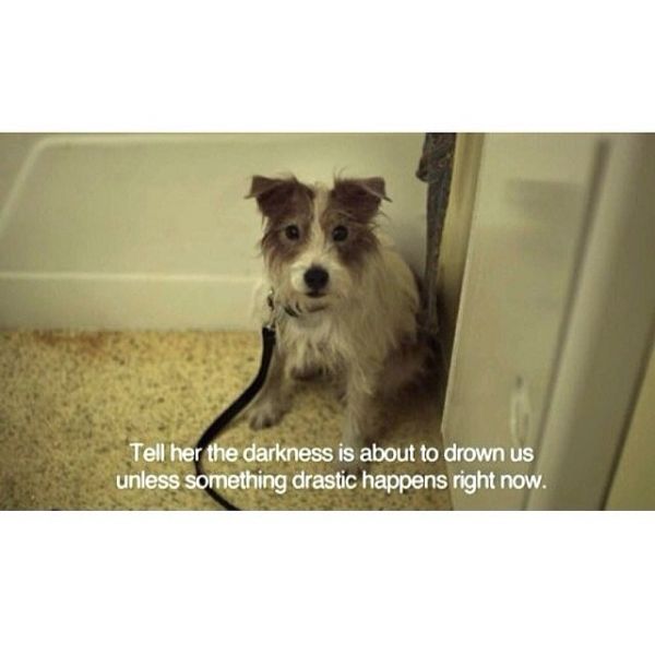 InstagramTroian-001400.jpg