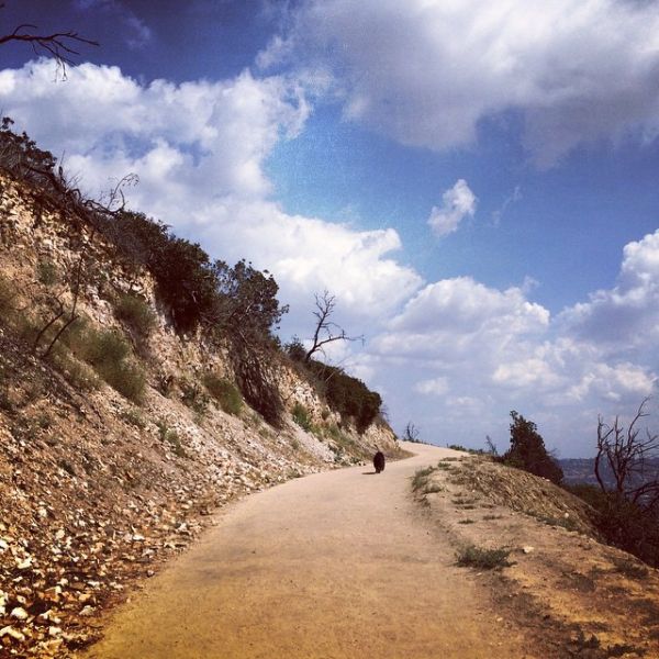 InstagramTroian-001758.jpg