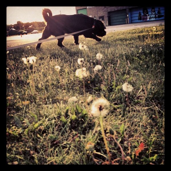 InstagramTroian-00192.jpg