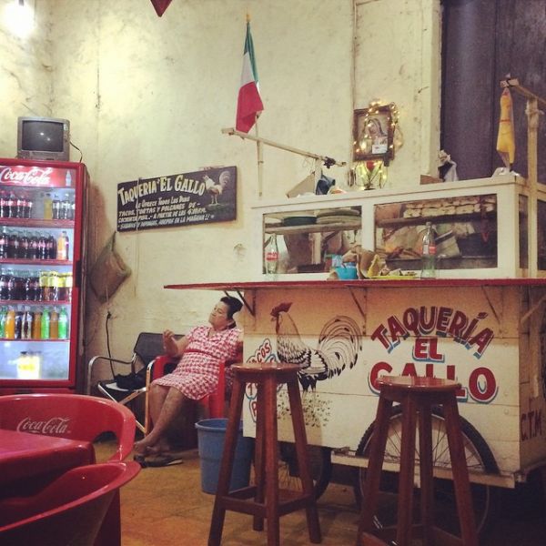 InstagramTroian-001931.jpg