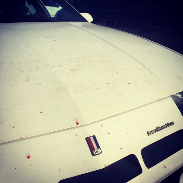 InstagramTroian-001976.jpg