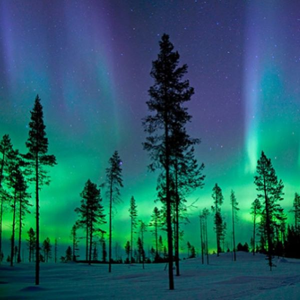 InstagramTroian-002092.jpg