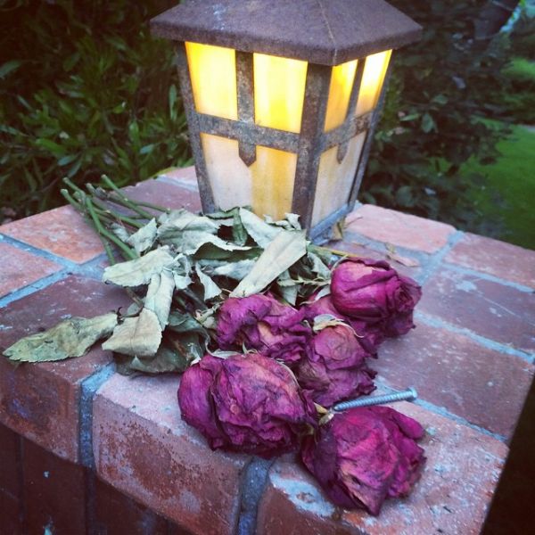 InstagramTroian-002140.jpg