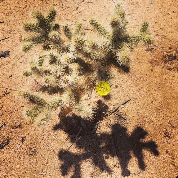 InstagramTroian-002154.jpg