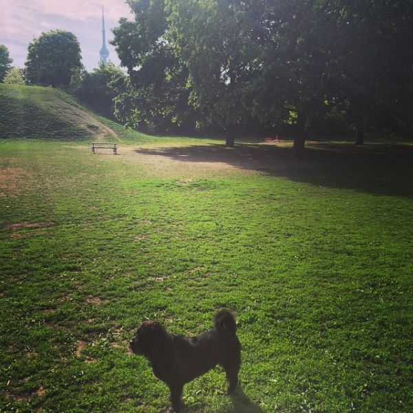 InstagramTroian-002167.jpg