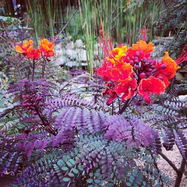 InstagramTroian-002197.jpg
