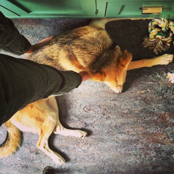 InstagramTroian-002209.jpg