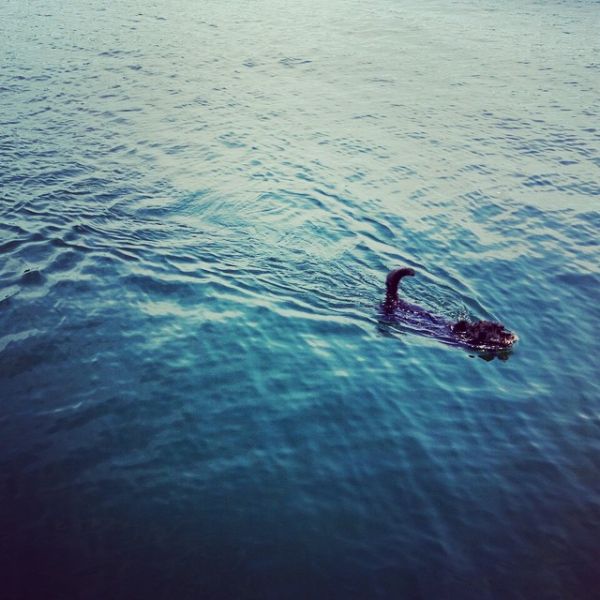 InstagramTroian-002259.jpg
