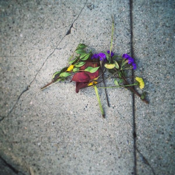 InstagramTroian-002310.jpg