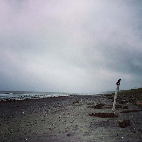 InstagramTroian-002376.jpg