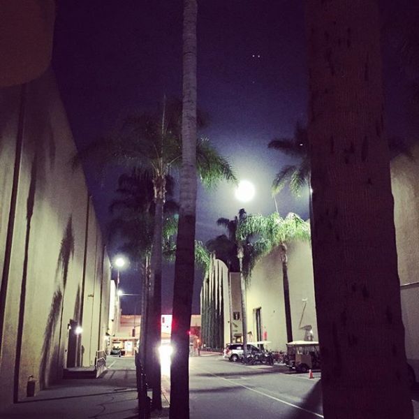 InstagramTroian-002438.jpg