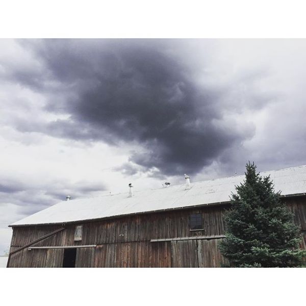 InstagramTroian-002487.jpg