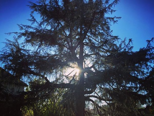 InstagramTroian-002587.jpg