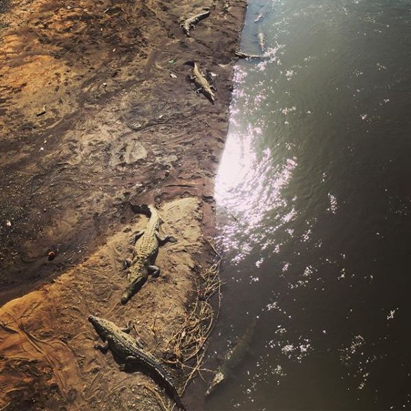 InstagramTroian-002615.jpg