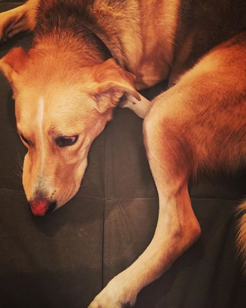 InstagramTroian-002678.jpg