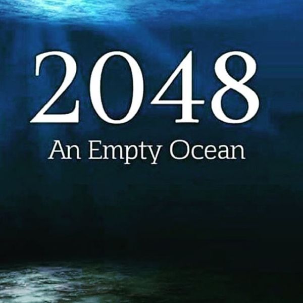 InstagramTroian-002718.jpg