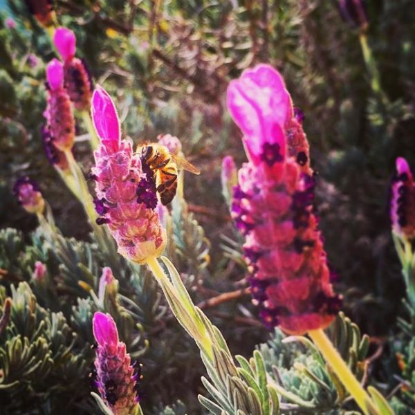InstagramTroian-002768.jpg
