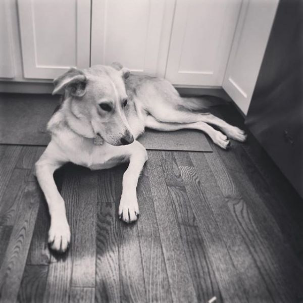 InstagramTroian-002769.jpg