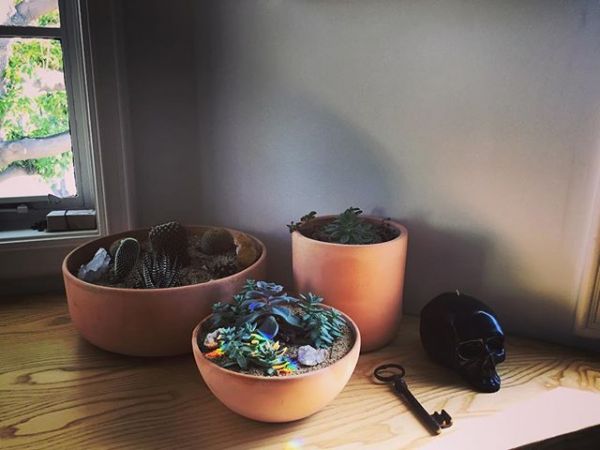 InstagramTroian-002805.jpg