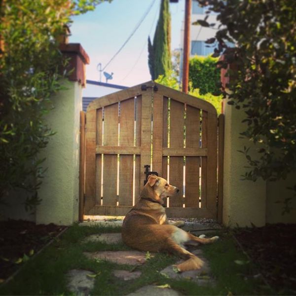 InstagramTroian-002806.jpg