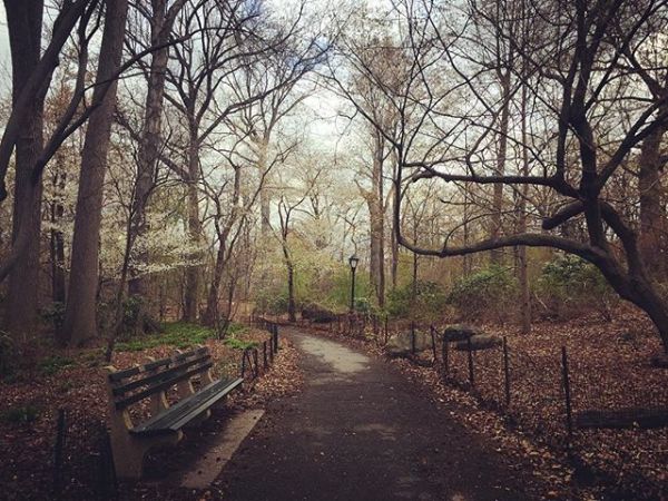 InstagramTroian-002815.jpg