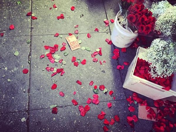 InstagramTroian-002877.jpg