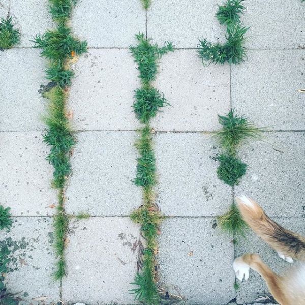 InstagramTroian-002881.jpg
