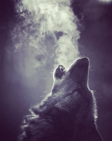 InstagramTroian-002980.jpg