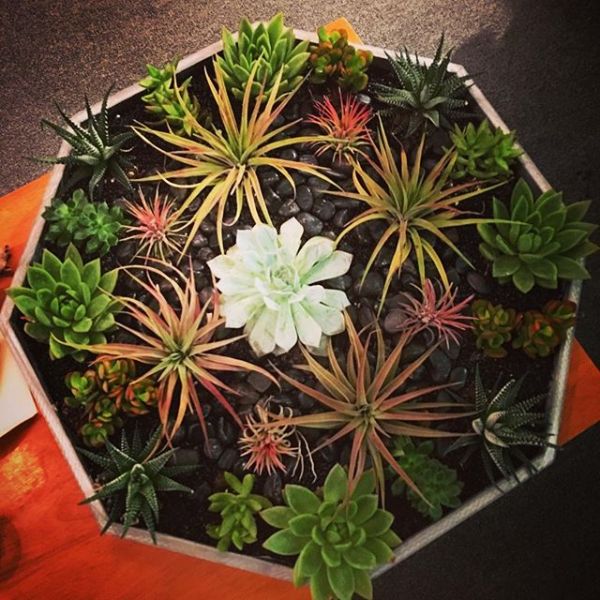 InstagramTroian-003053.jpg