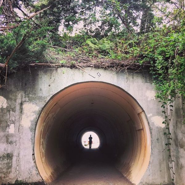 InstagramTroian-003266.jpg