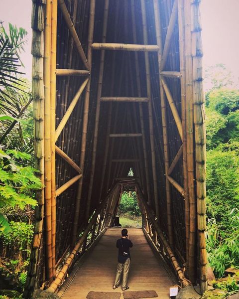InstagramTroian-003315.jpg
