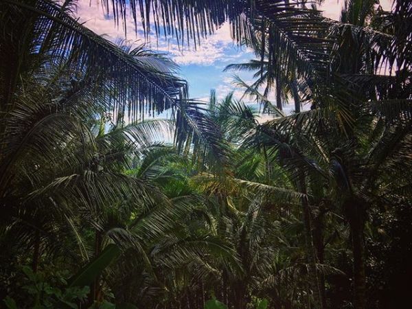 InstagramTroian-003319.jpg