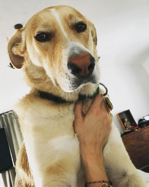 InstagramTroian-003457.jpg