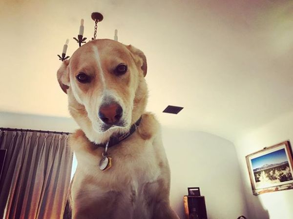 InstagramTroian-003544.jpg