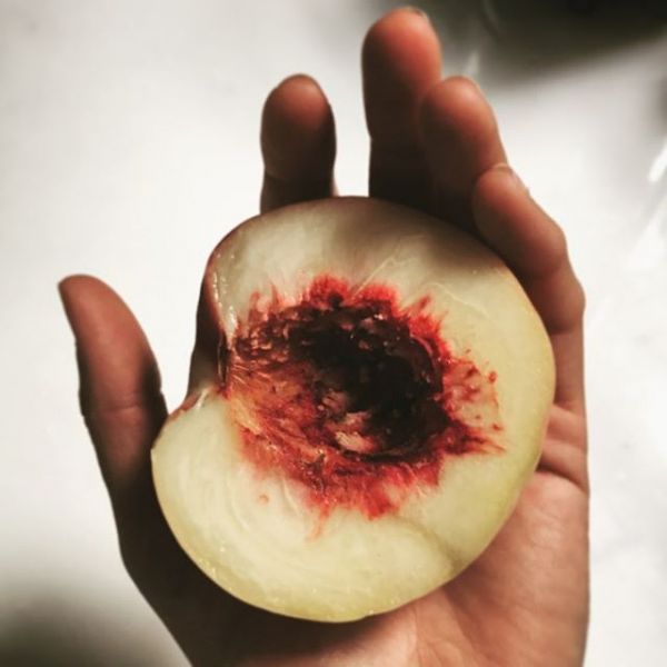 InstagramTroian-003565.jpg