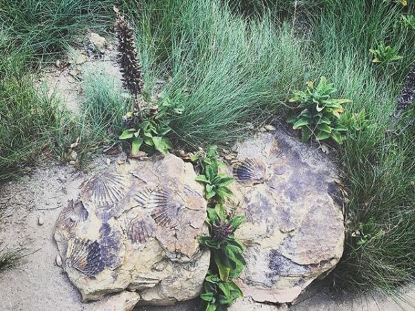 InstagramTroian-003577.jpg