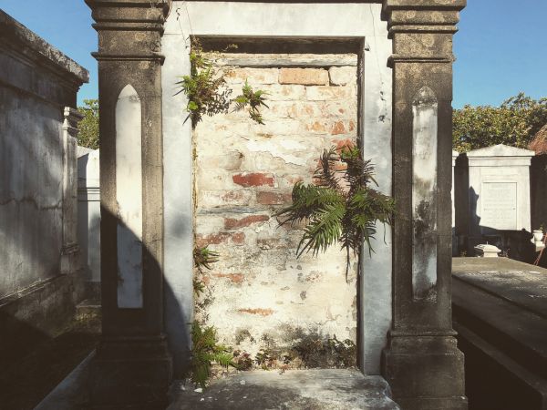 InstagramTroian-003622.jpg