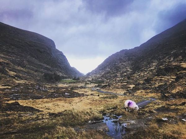 InstagramTroian-003729.jpg