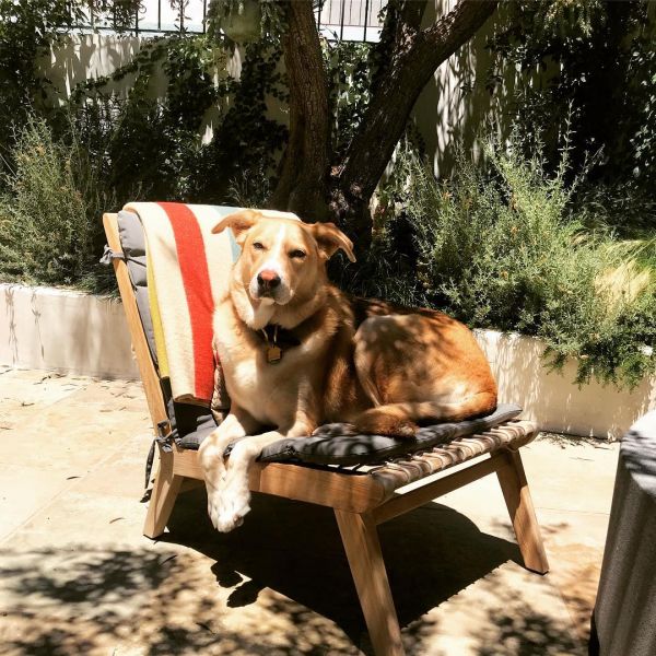 InstagramTroian-003876.jpg