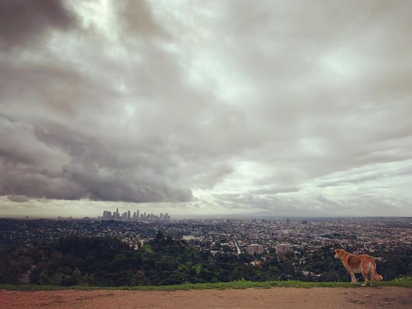 InstagramTroian-003984.jpg