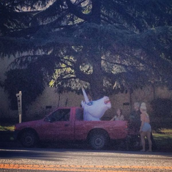 InstagramTroian-00893.jpg