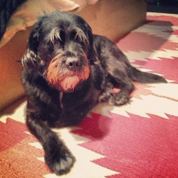 InstagramTroian-00967.jpg