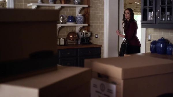 PLL_S04E08_720p_JACK_Up_DownloadSeriesHere_0849.jpg