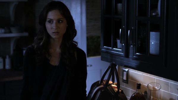 Pretty_Little_Liars_S02x06_720p_Bluray_Dual_PauloADM_2467.jpg