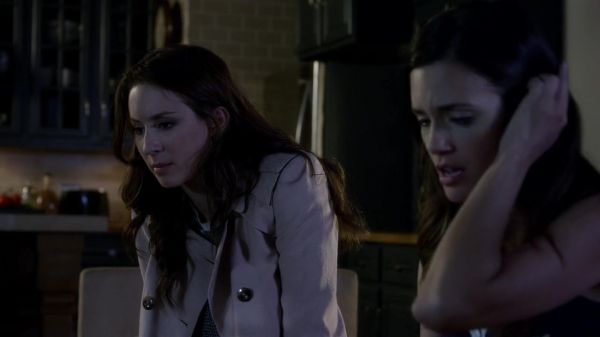 Pretty_Little_Liars_S03E04_BluRay_Rip_720p_Dual_Audio_WWW_TORRENTDOSFILMES_COM_1773.jpg