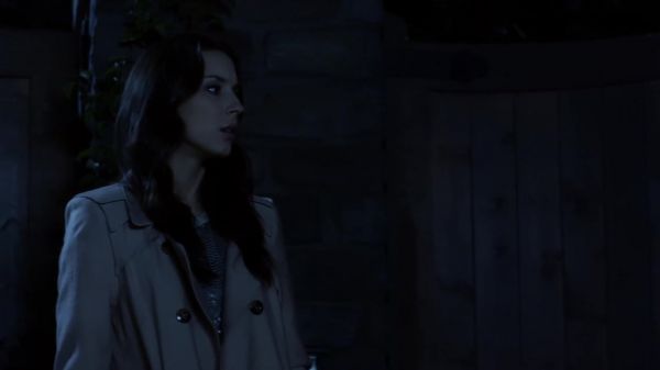 Pretty_Little_Liars_S03E04_BluRay_Rip_720p_Dual_Audio_WWW_TORRENTDOSFILMES_COM_2587.jpg